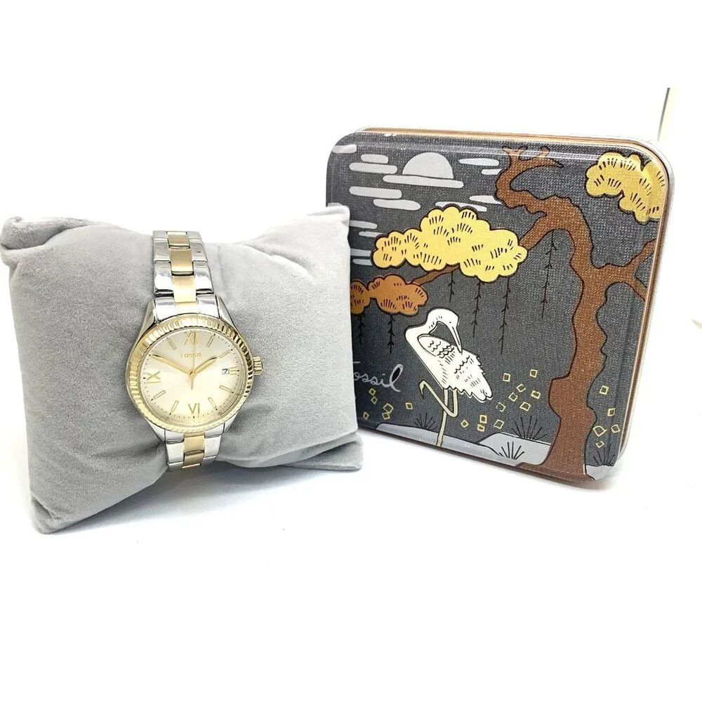 Fossil Women's Watch BQ3927 Quartz Silver Dial Two Tone Stainless Steel 30mm